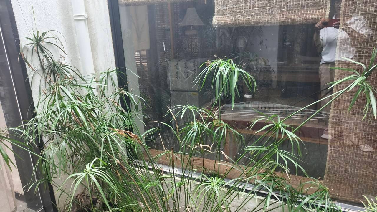 大柳枝巷9号·河畔小巷