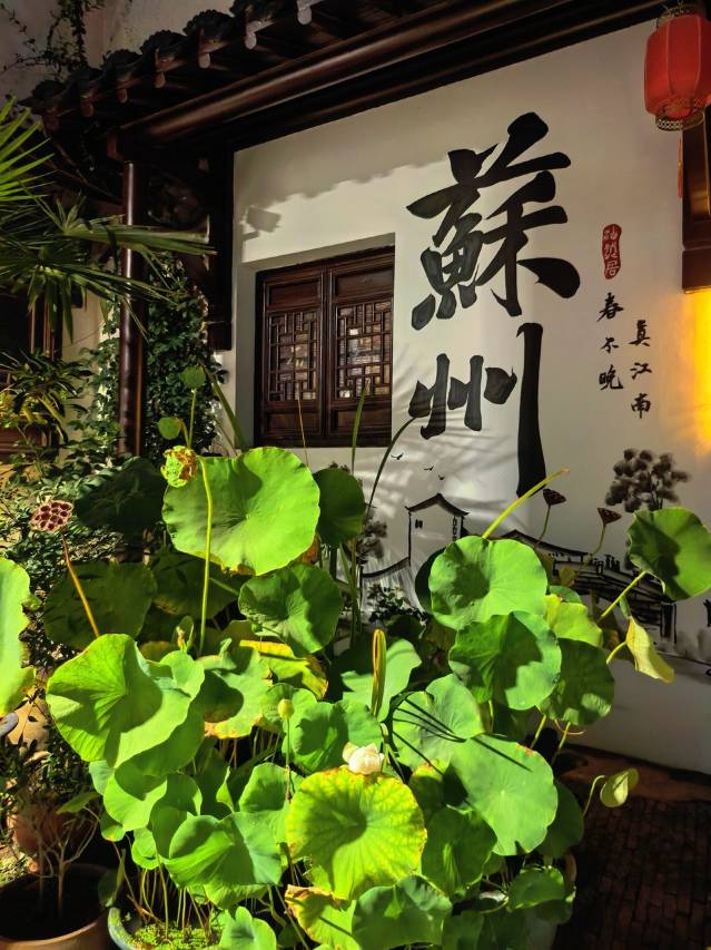 大柳枝巷9号·河畔小巷